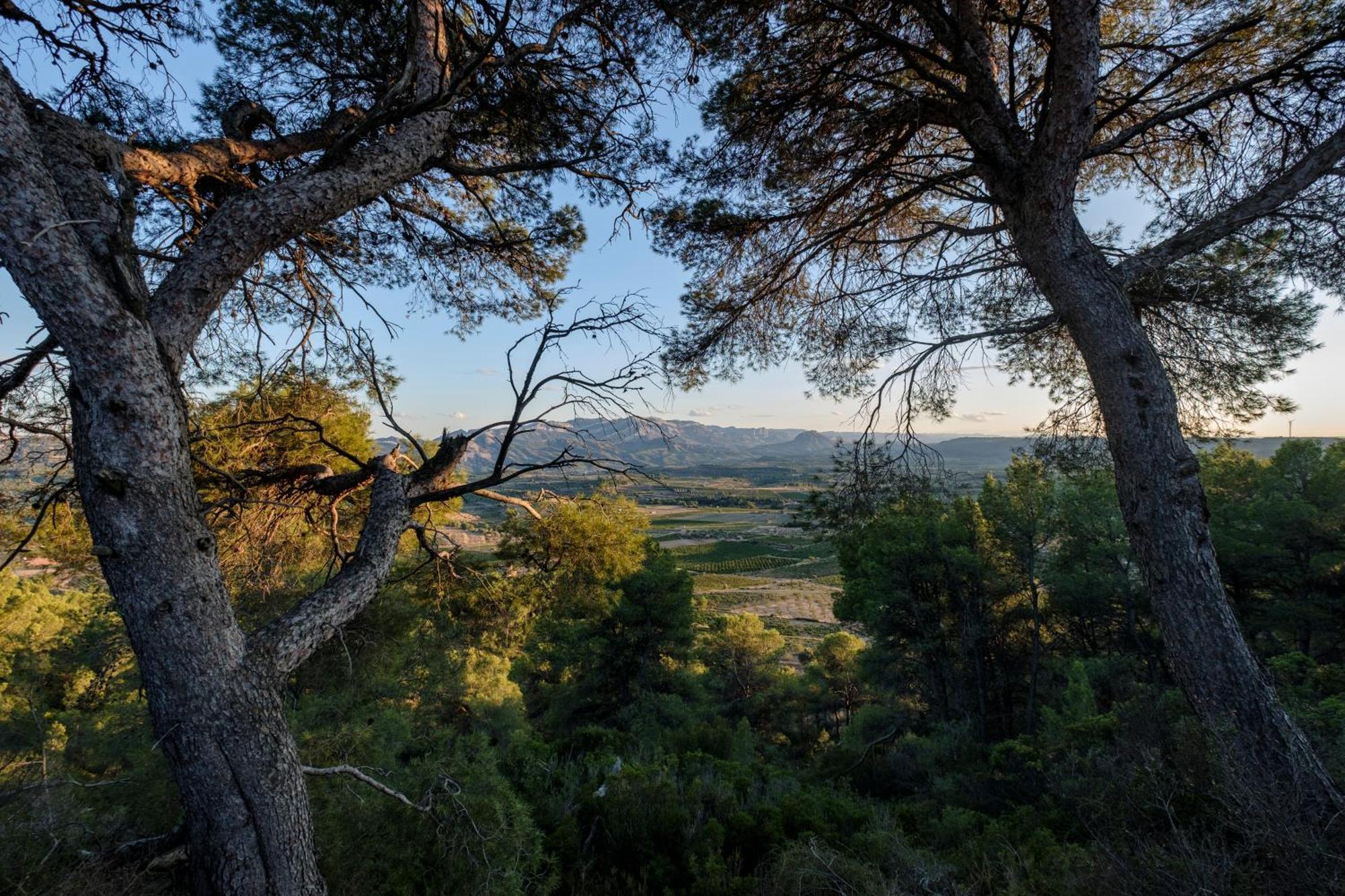 Апартаменти Enoturismo Celler Pinol Batea Екстер'єр фото